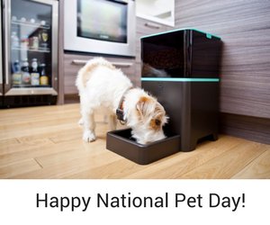 getpayability's tweet photo. Happy #nationalpetday! Check out how Payability client Petnet, helps pet-owners stay connected with the SmartFeeder. https://t.co/ZYB2p6bvdJ https://t.co/H2thTTgXsj