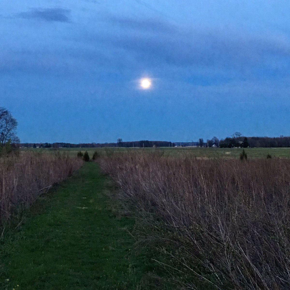 KarinBergquist's tweet photo. Last night's walk beneath the full Pink Moon. #nowherefarm https://t.co/wmUl9dSYYq
