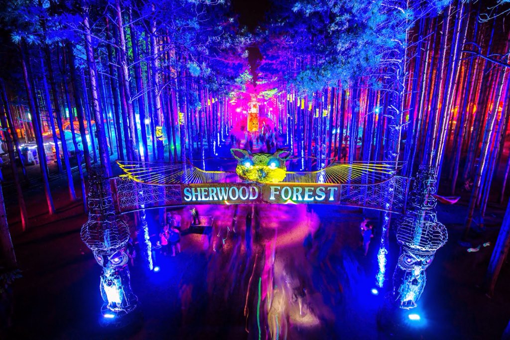 Electric Forest is where I belong.