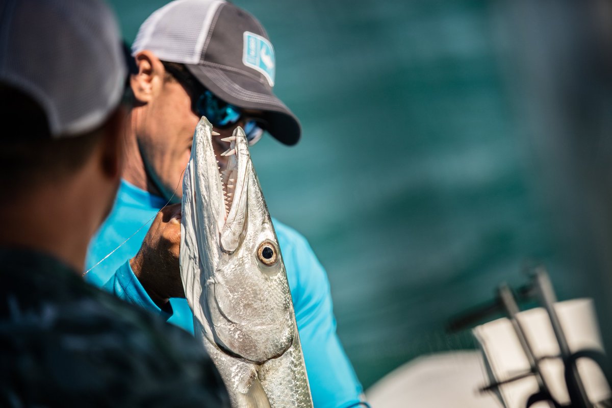 Local_KnowTV's tweet photo. This fish took a unique track in his evolutionary path #LocalKnowledgeTV #MustadHook @mustad_americas https://t.co/6uuvgRTvRK