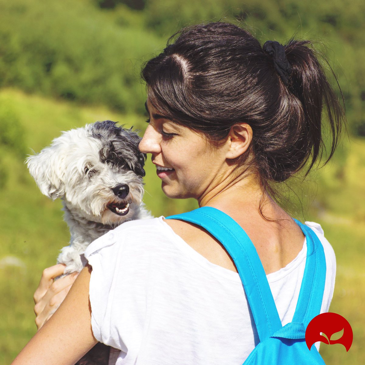 Pets just make you smile! Apple Orthodontix can make sure that smile is perfect! #appleortho #nationalpetday #braces #smile