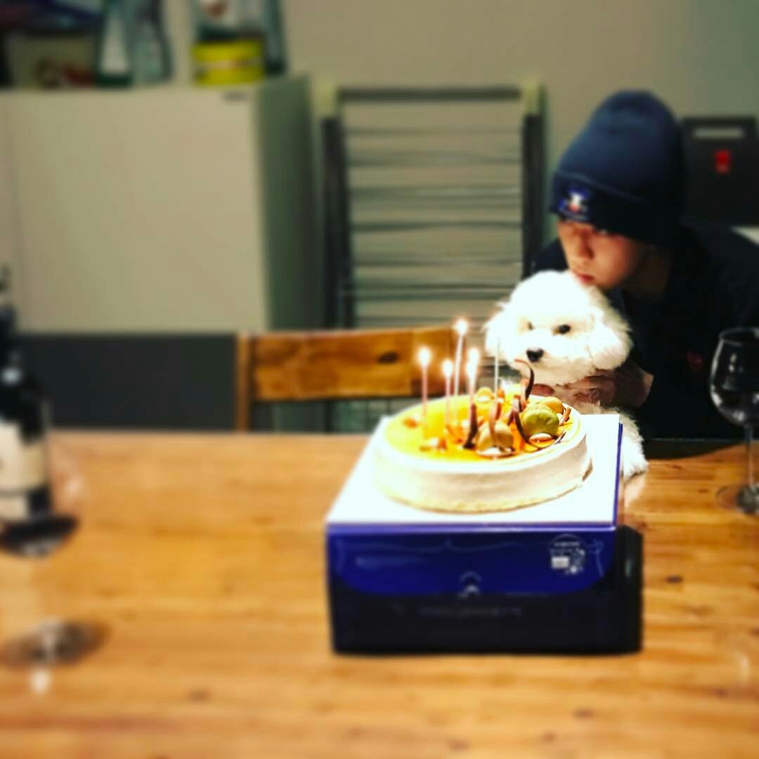 HUNSTAGRAM tweet media