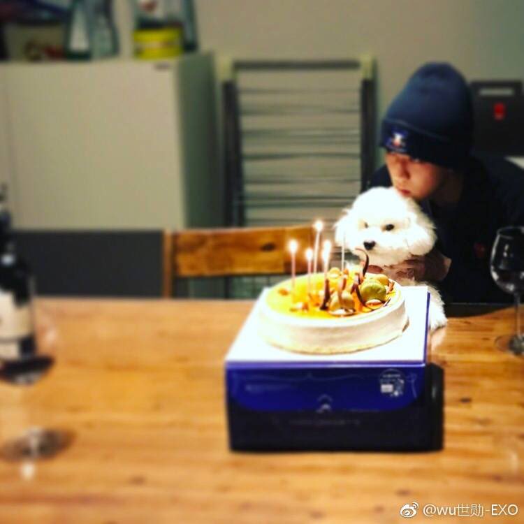 BestSehunMOU's tweet photo. #HappySehunDay #세훈아생일축하해 #SEHUN happy birthday my sehunnie,always love you baby https://t.co/2MKhQTf7rK