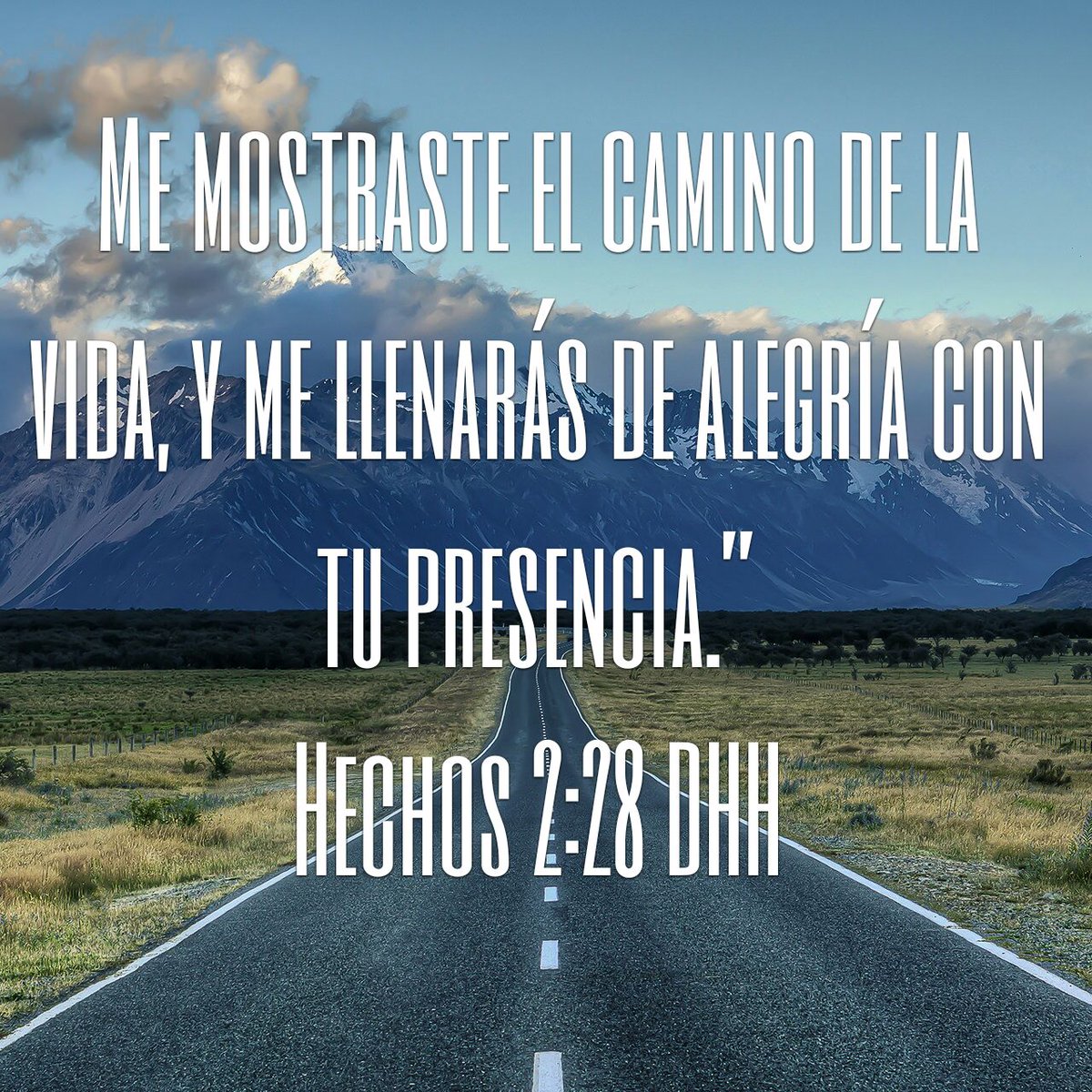 Leobenigno (@leobenigno1) on Twitter photo 