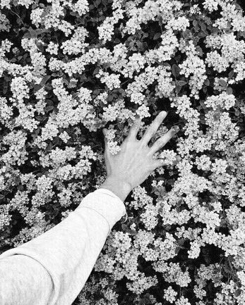 almullah66's tweet photo. "you make flowers grow in the saddest parts of me." https://t.co/0ru4IBEWlf