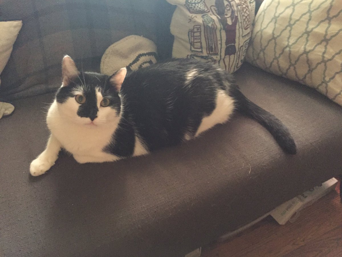 Sumeet Shah tweet media