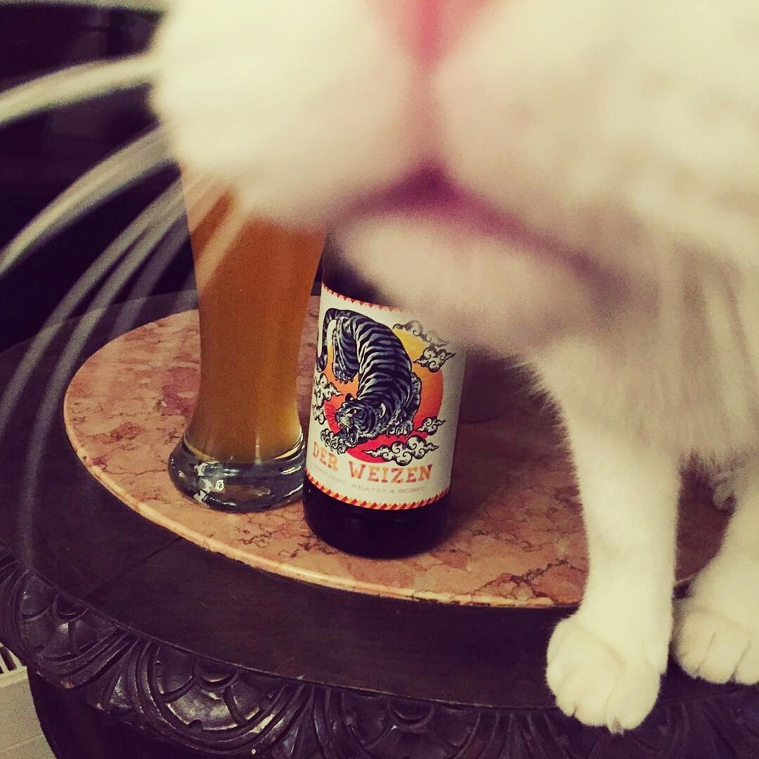 TilmansBiere's tweet photo. cats gathering
repost of @elmunique
#tilmansbiere #derweizen #craftbeer https://t.co/dZ7i7fXvgN
