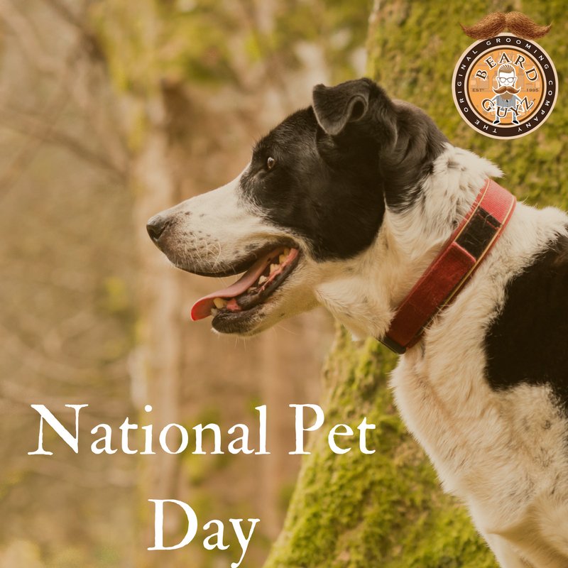 BeardGuyz's tweet photo. Today is National Pet Day! Show your pets that you love them! #NationalPetDay #BearGuyz #MyUniversalVIP #Pets #PublicAwareness #Shelters https://t.co/rHQIE45kyV