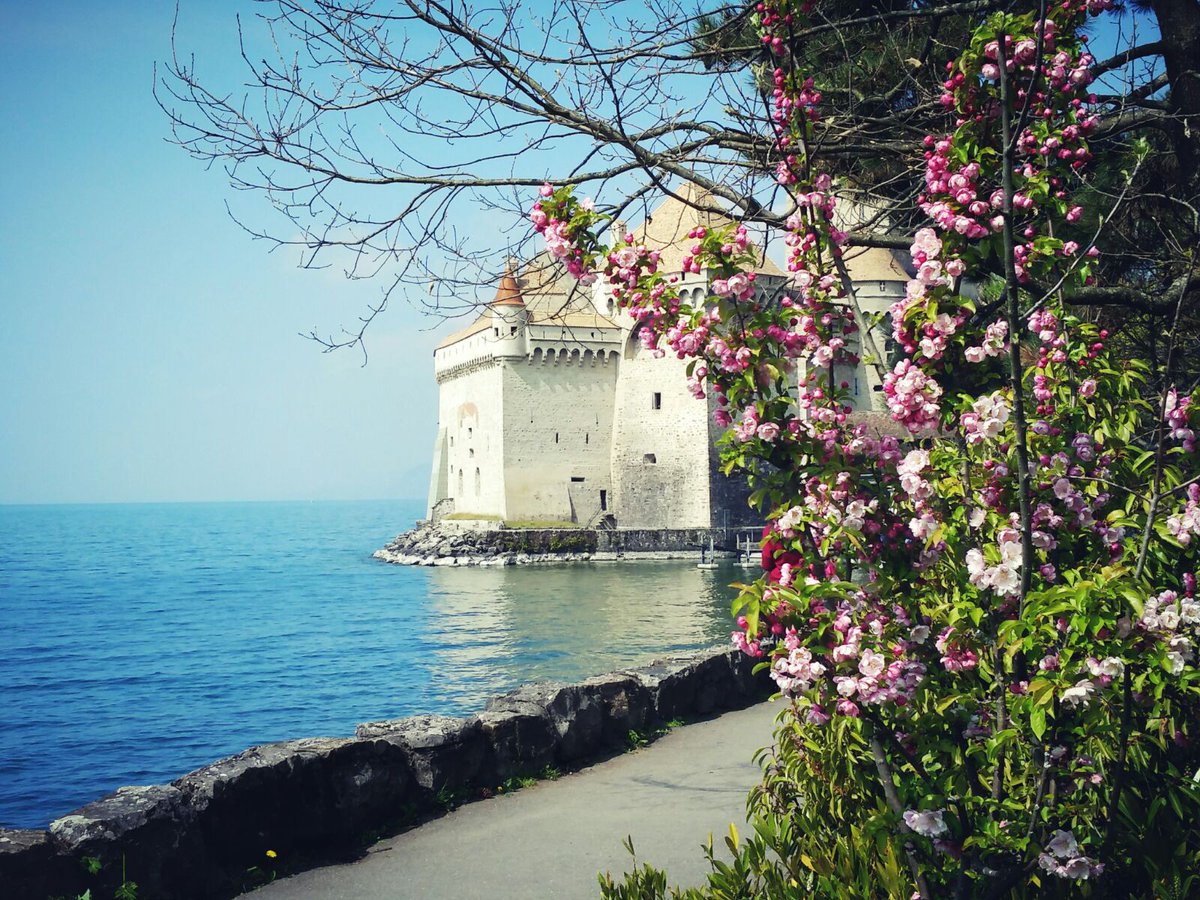 diariocurtido's tweet photo. Otra parada obligada si estás por #Suiza es el #CastilloDeChillon ,en las orillas del lago #Leman. #SuizaOnTime #Holidays #Travel https://t.co/0BJ25OsY28