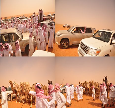zaub_news's tweet photo. #زعب #الزعبي #قبيلة_زعب
تغطية مصورة لـ مخيم رجل الاعمال فرحان فالح الزعبي ومسيرة عرض الابل https://t.co/6trdR0oWUD https://t.co/xs3v9iTpBi