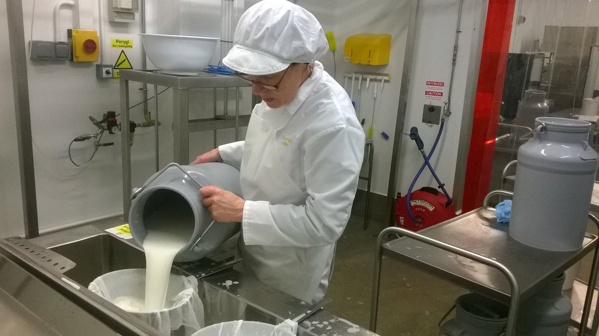 British Cheese Award (@britcheeseaward) on Twitter photo #cheesemakertakeover <a href="/CosynCymru/">Cosyn Cymru</a> The milk arriving. Enough milk for Olwyn fawr - their 6kg Manchego-style cheese. #cheesemakertakeover <a href="/CosynCymru/">Cosyn Cymru</a> The milk arriving. Enough milk for Olwyn fawr - their 6kg Manchego-style cheese.