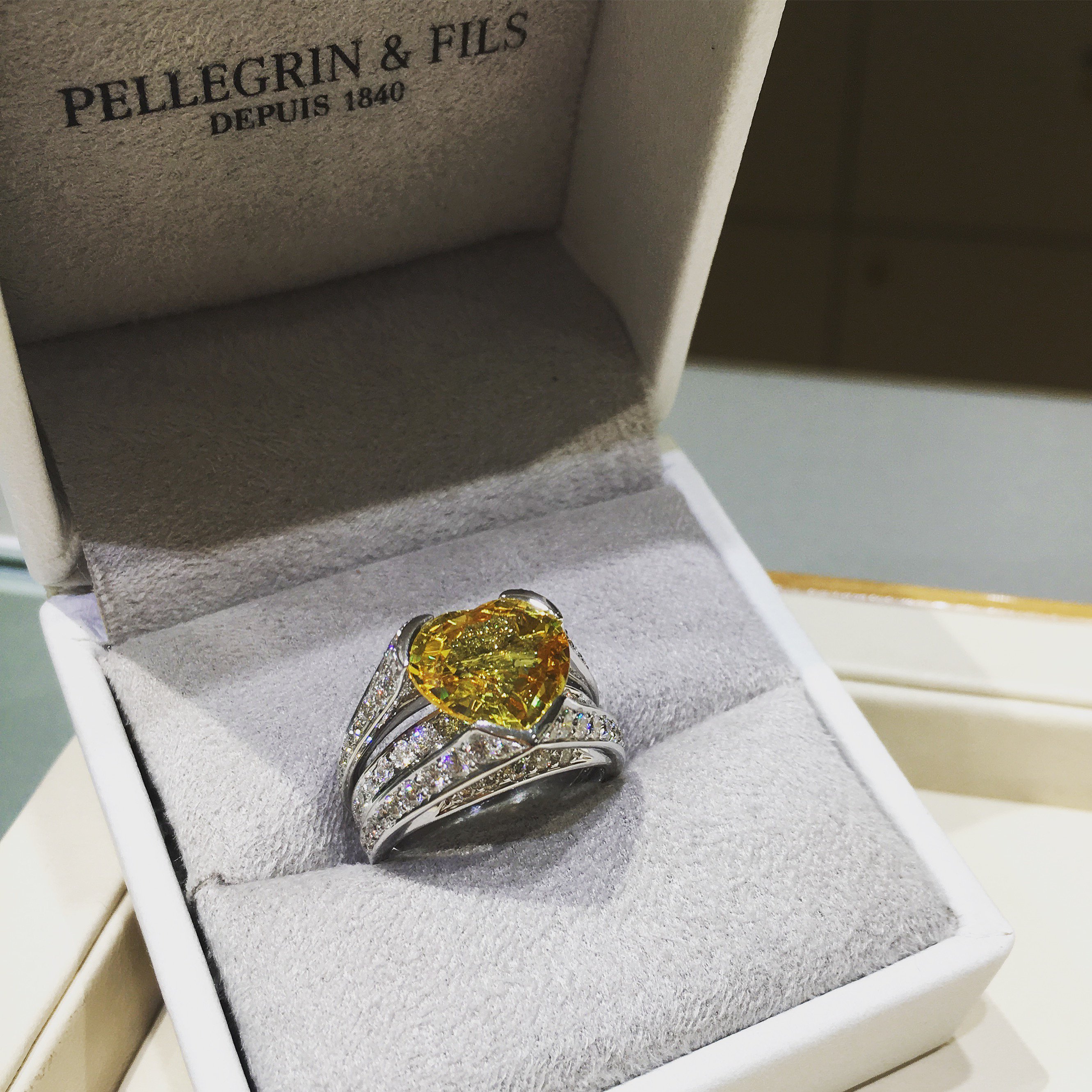 Pellegrin Fils PellegrinEtFils X