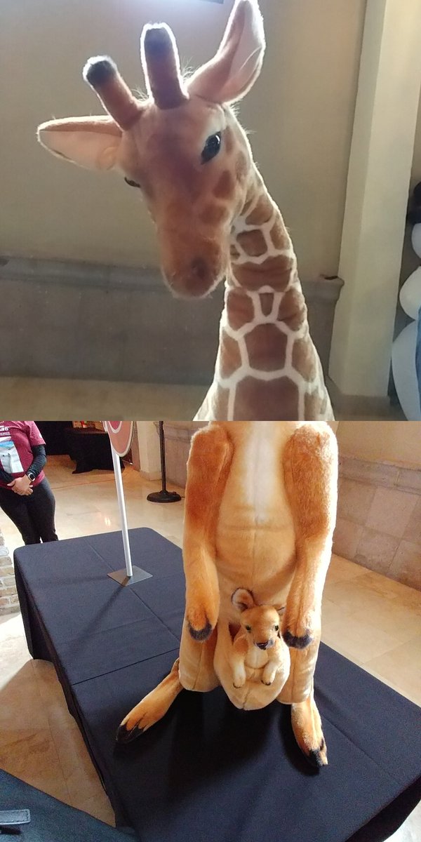 Frances Whitmore tweet media