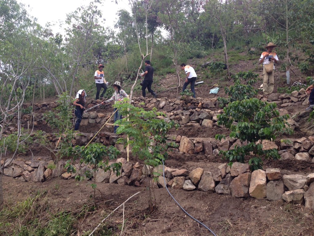 bon_mario's tweet image. Convite para construcción de #TerrazasdeCultivo en #Socotá #Boyacá práctica de #EconomíaSolidaria con jóvenes #ServicioAgricola Voluntario