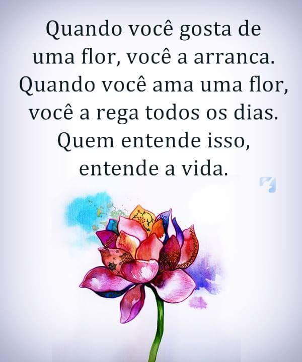 Caroline Bina (@caroline_bina) on Twitter photo 