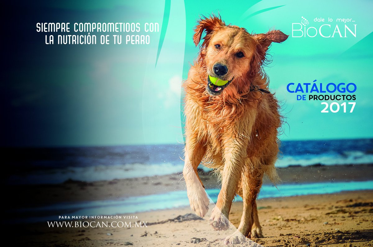 DpetMode's tweet photo. @BiocanMx https://t.co/XMcFiJ2Ci8