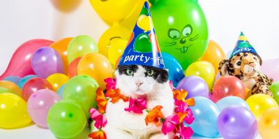 Today's The Day For tweet media