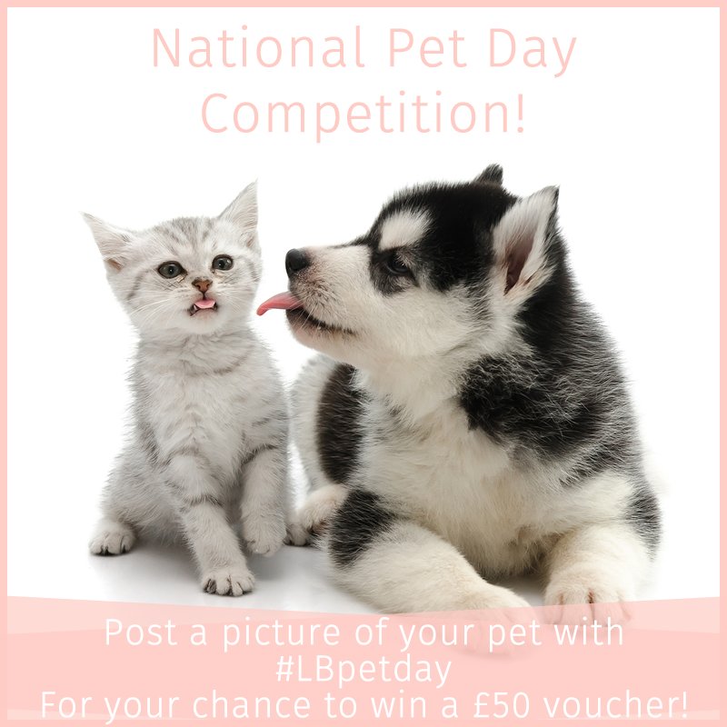 WWSWofficial's tweet photo. COMPETITION: we want to see your pretty pets π°π±show us using #LBPetDay to win Β£50 towards your summer style ππ½π https://t.co/Dv1i6ikefR