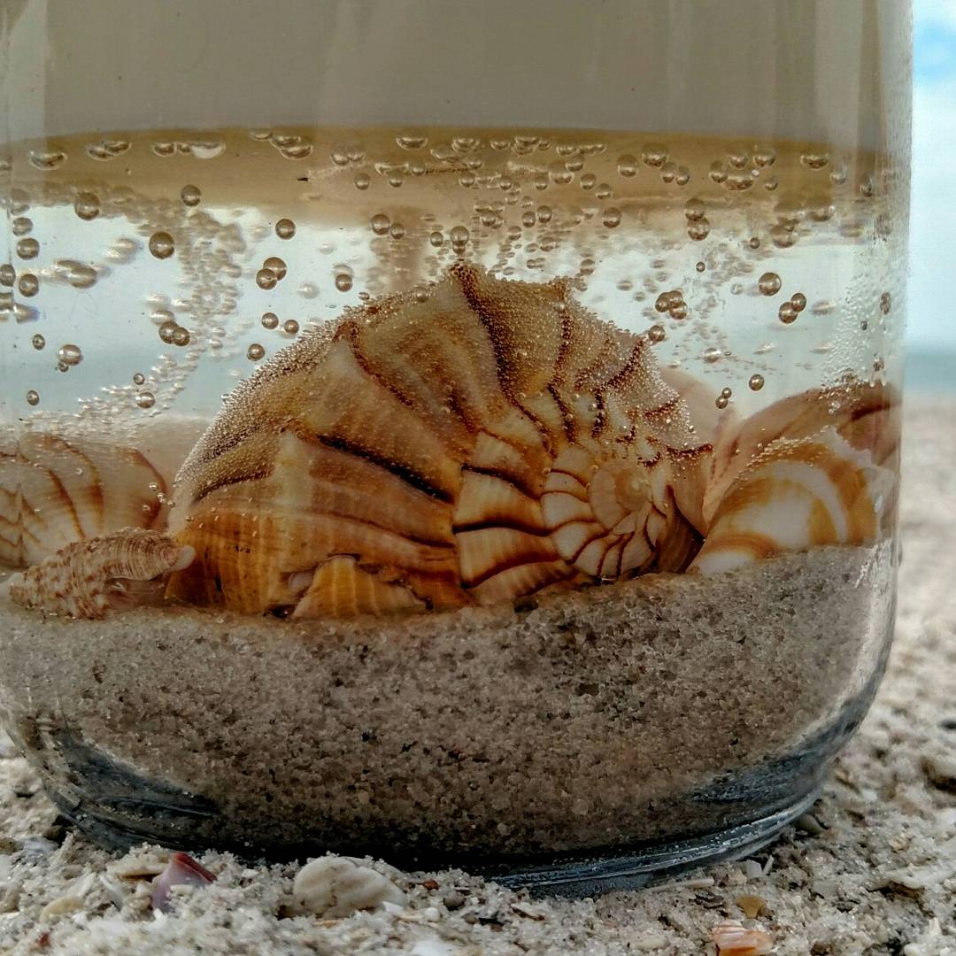 Sand_Candle's tweet photo. Mother's Day is just around the corner.  #MothersDay #giftideas #candle #beach #sandcandle https://t.co/F6dzo2OqCi