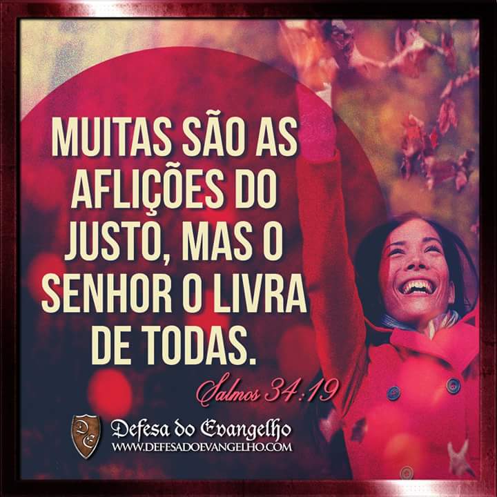 Ulisses Beta #SDV (@ulissesnetofsa) on Twitter photo 