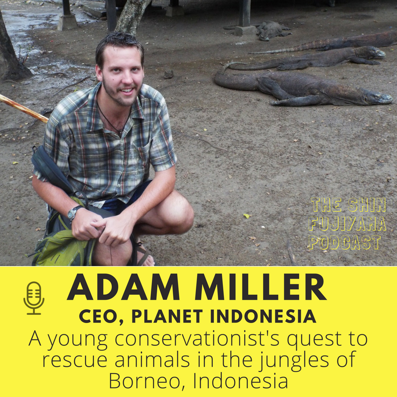 Shin Fujiyama Podcast Ep46: Adam Miller of @PlanetIndon on rescuing animals and forests in Borneo, Indonesia apple.co/29JcxSI #socent