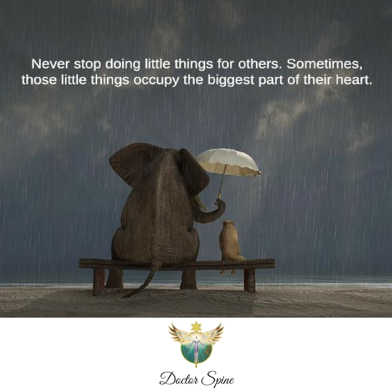 AwakenBoulder's tweet photo. Little things for others, can make all the difference...
#gratitude #love #health #boulder #chiropractor #doctorspine #NOBO https://t.co/YMsytDaOEg