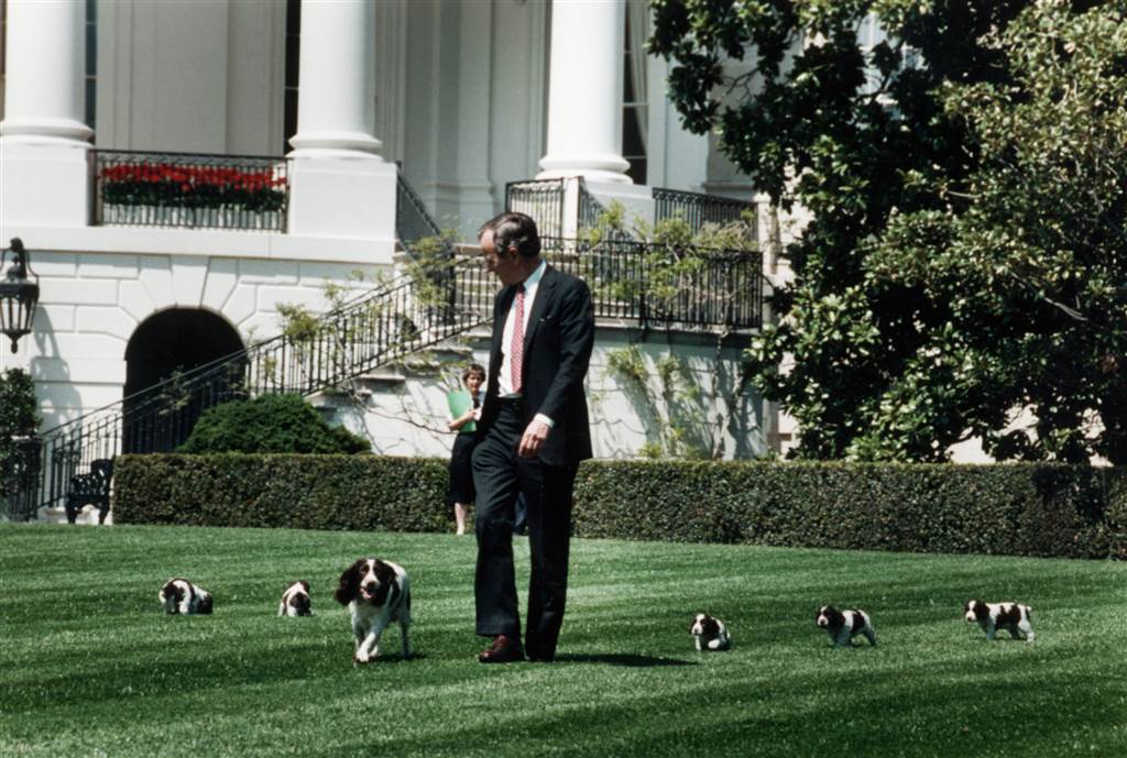 NBCNews's tweet image. In honor of #NationalPetDay, take a look back at past presidents&apos; furry friends nbcnews.to/2p2f0lA