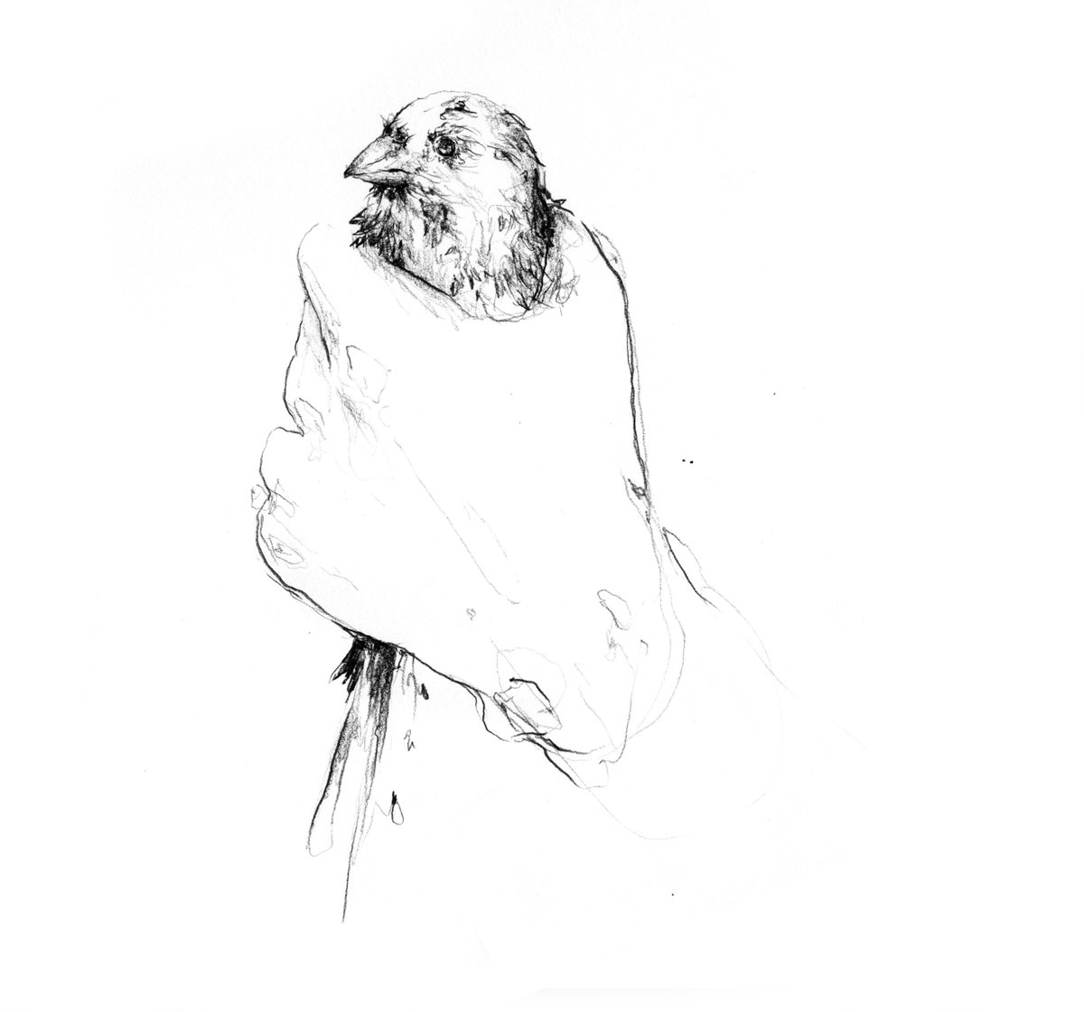 LFanzine's tweet photo. Desluz es un poemario escrito por Karla Hill, ilustrado por Tabata Bandin, distribuido y editado por @EditorialXolo. https://t.co/iTRAgAZ6QV