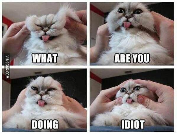 firchy002's tweet image. #SpinUrEmbarrassingMoments
😺😾😸