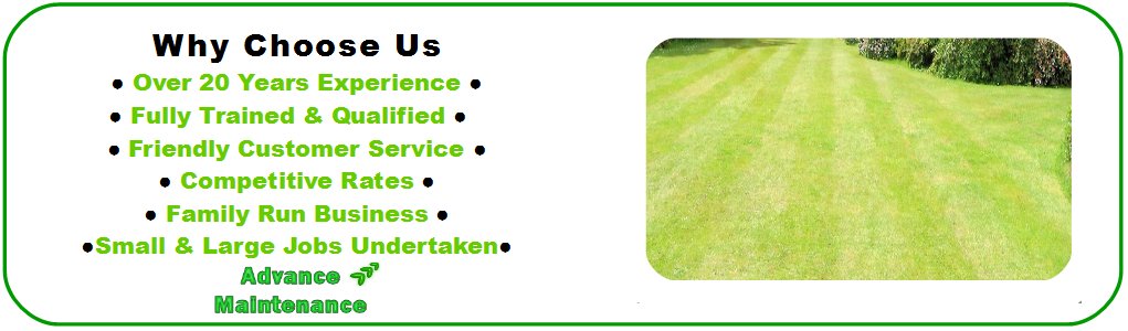 Leicester Gardening Leicestergarden Twitter 0 Replies 1 Retweet Like