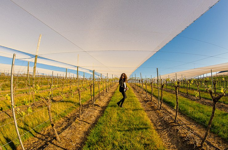 Melbourne's tweet photo. 11 Reasons To @VisitGrampians This Weekend, via @UrbanListMELB https://t.co/s0G6YmAC4a #wandervictoria https://t.co/2P6Ig23nTM