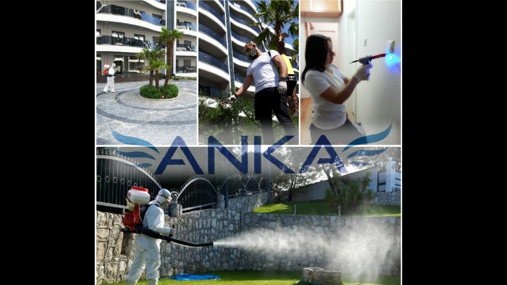 ankapestcontrol's tweet image. Kaliteli ve Garantili İlaçlama İle Tanışın tinyurl.com/nx459mg