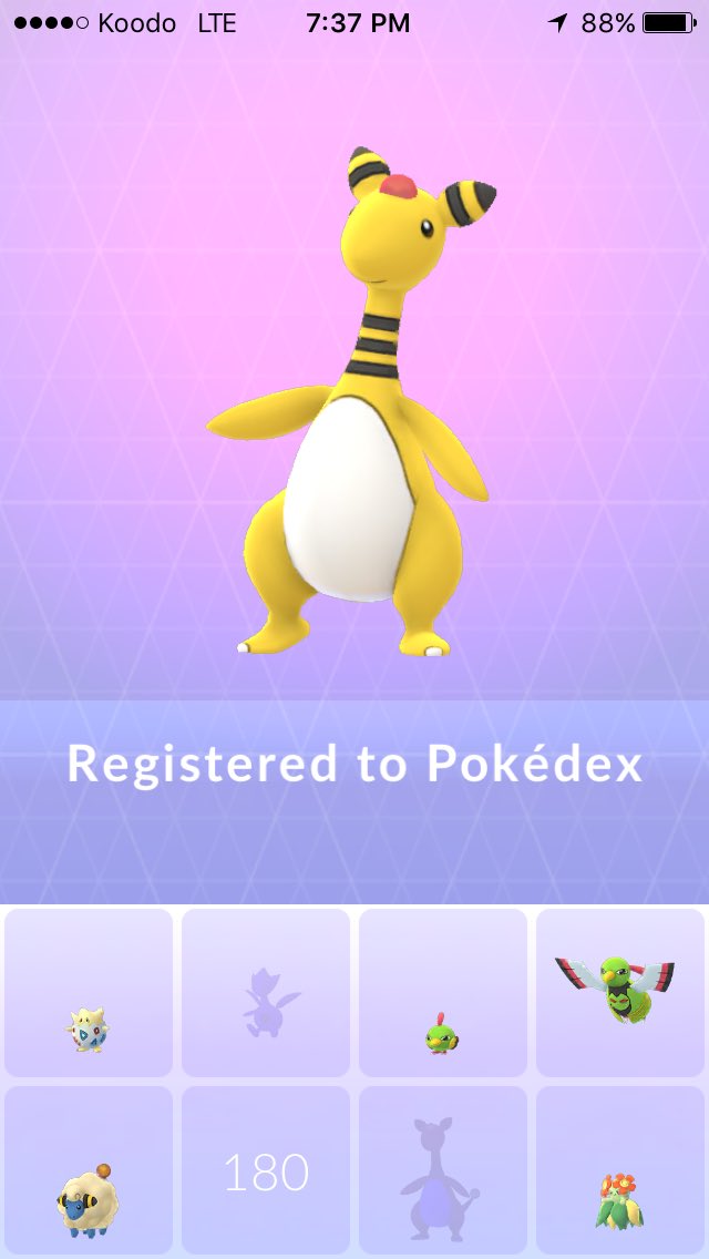 tinytacoturtle's tweet photo. CATCH OF THE DAY 😍⚡️⚡️⚡️⚡️⚡️⚡️⚡️⚡️ #PokemonGO #TeamInstinct #Pokemongogen2 https://t.co/mHi2Koy13Y