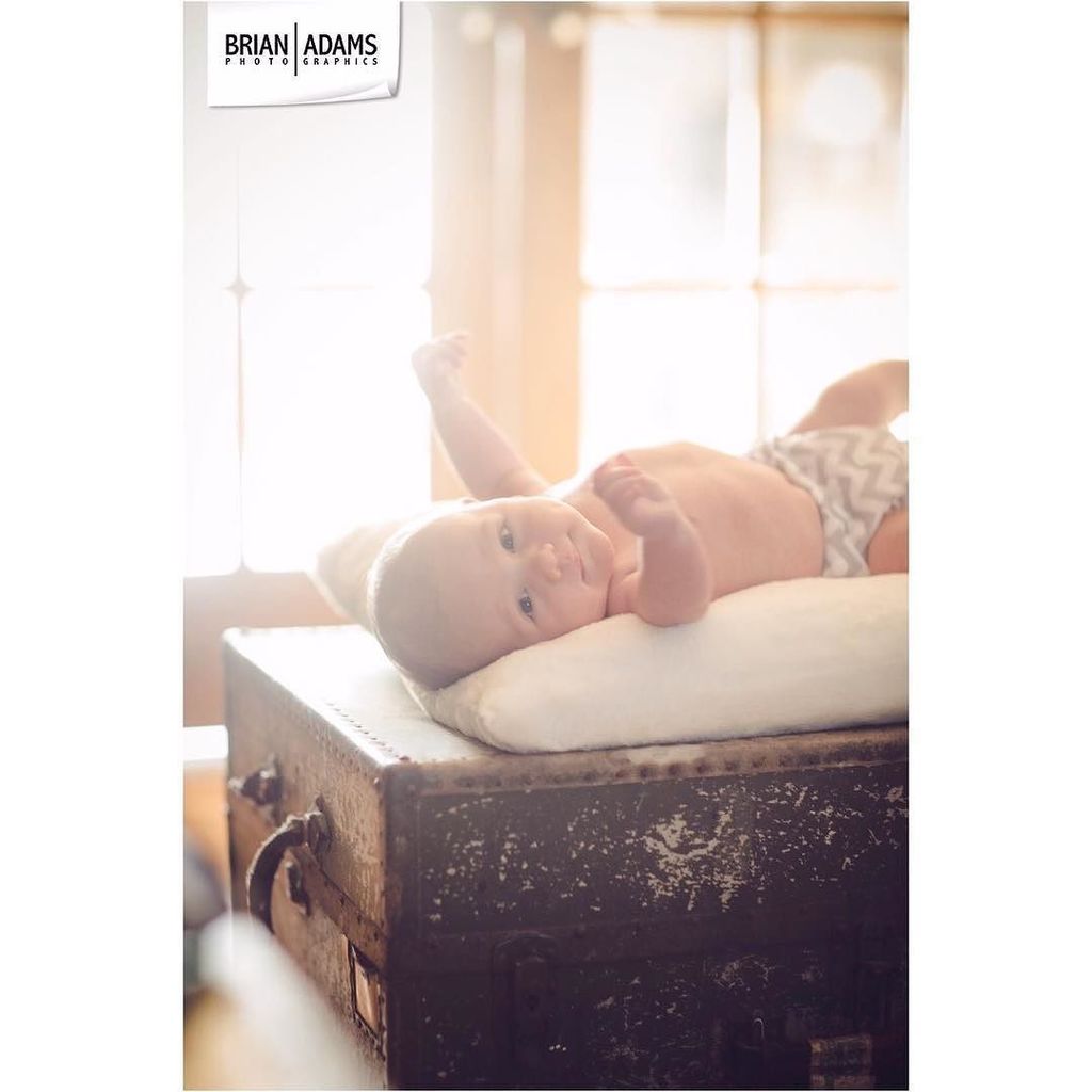 brianadamsphoto's tweet photo. Such a cutie! #brianadamsphoto #brianadamsphotographics #photography #photographer #weddingphotography #weddingpho… https://t.co/OFnNYInzQh https://t.co/bnK3N8ZtTl