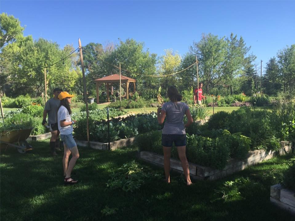 GrantFarms's tweet photo. Did you know that we offer FREE Farm Tours? Come see where your food is grown! https://t.co/ZhBrfgVpsh https://t.co/Sw0o2XeZFK