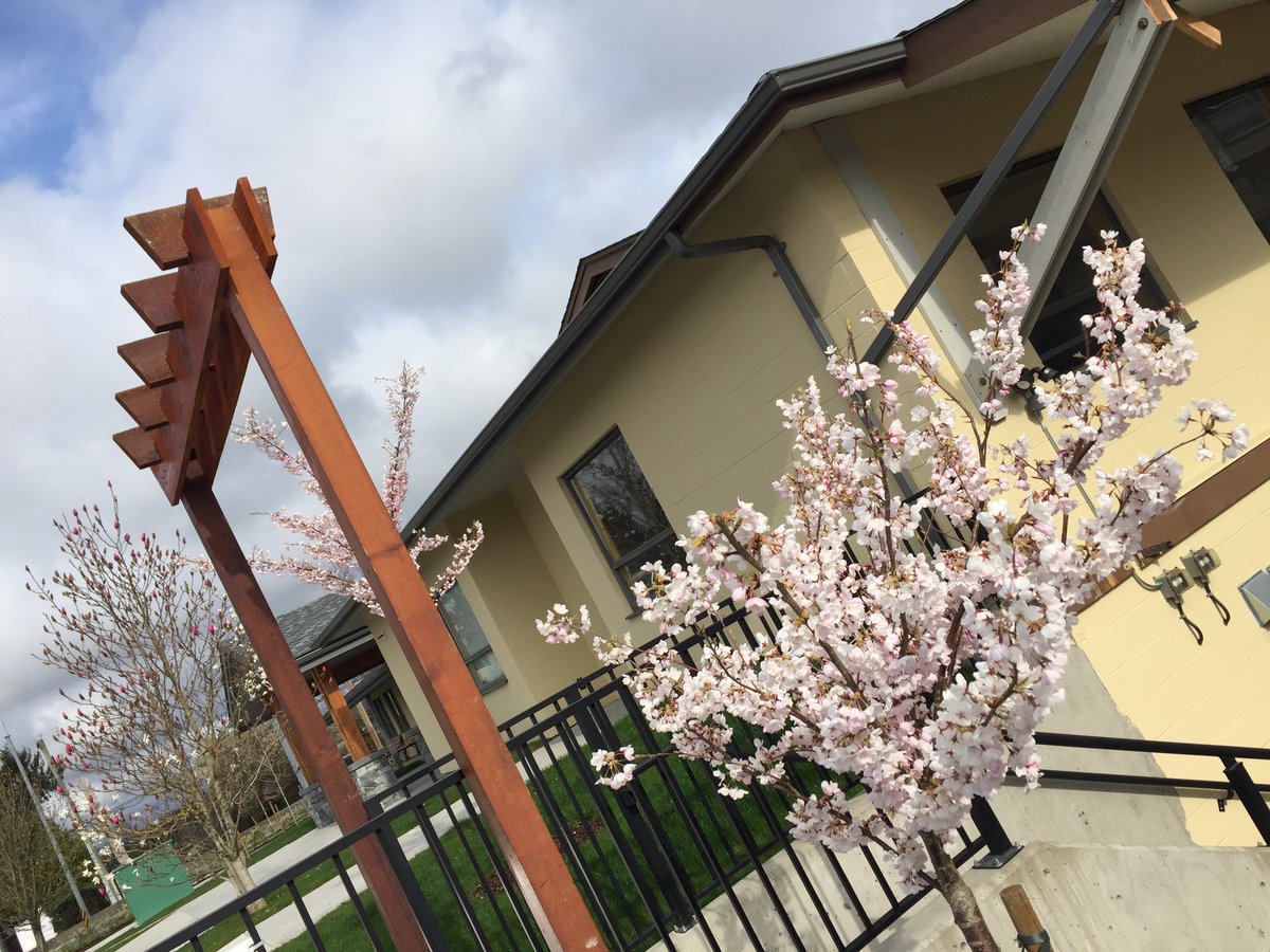 モズデル・リチャード tweet media