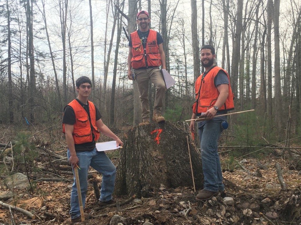 PSU_Forester's tweet photo. #PSUforestry students collect data on stumps of stolen trees &amp; using linear regressions to calculate value https://t.co/qhUyPLIn3C