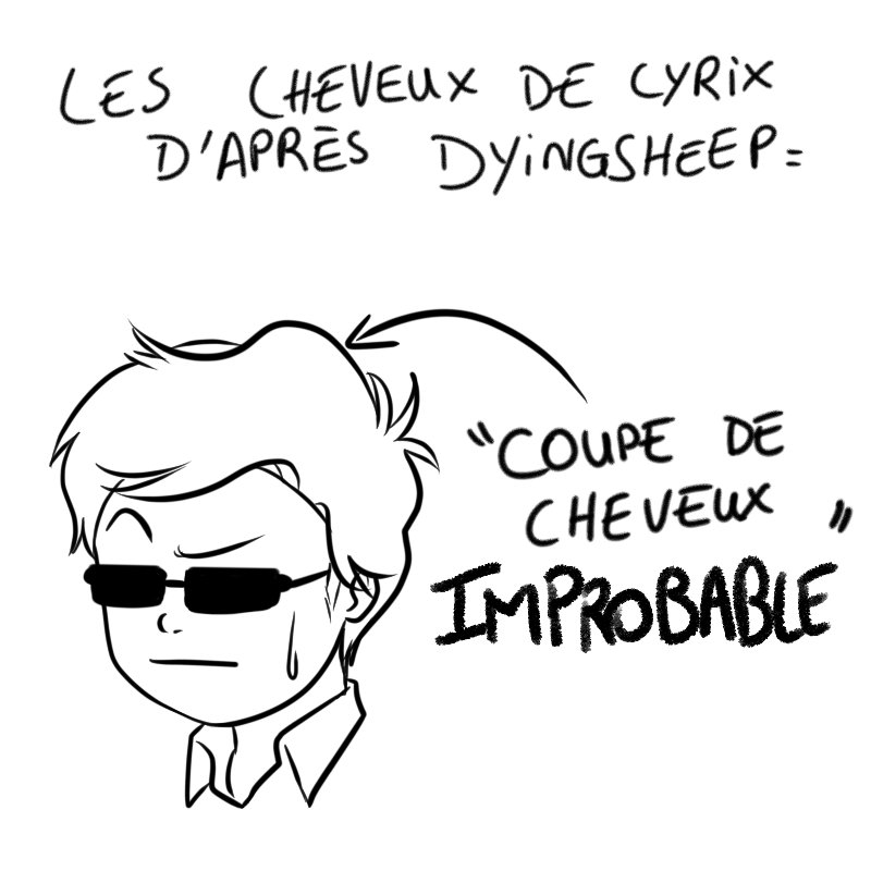 Regalia300's tweet photo. Brun ou chatain, je pense que @Dying_Sheep sera d'accord pour dire que la coupe de cheveux de @ThomasCyrix est IMPROBABLE ! #CyrixPlays https://t.co/YMjmraNvXU