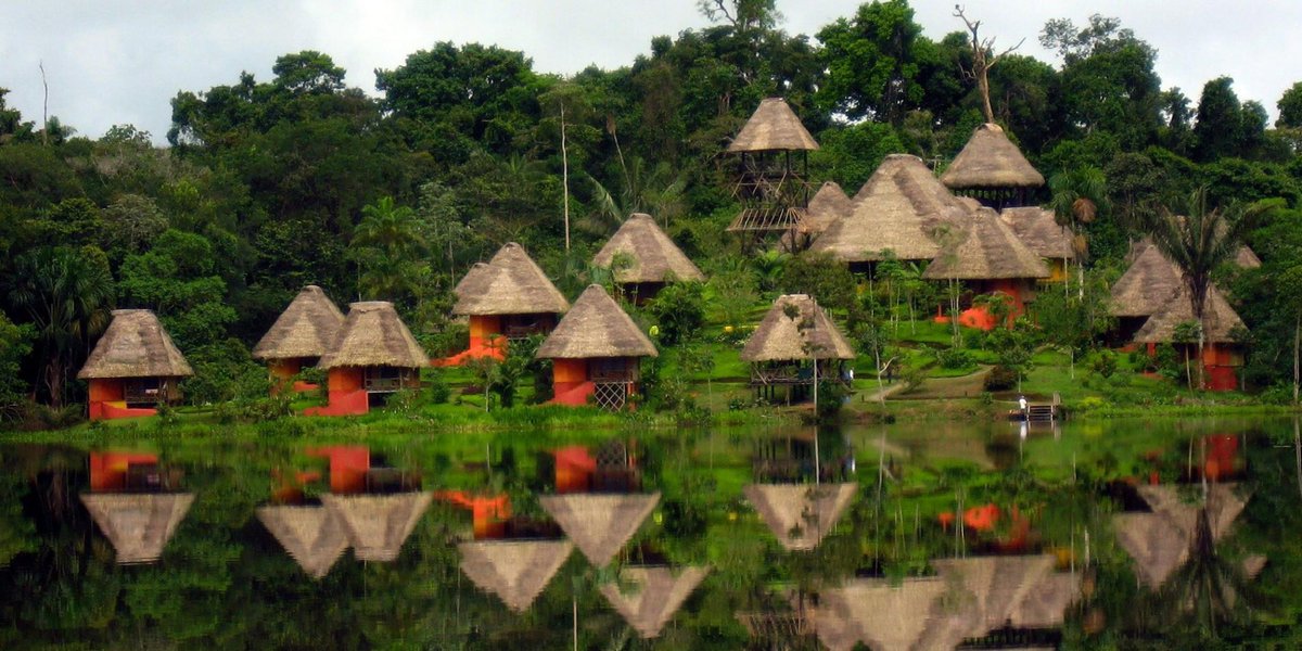 Fancy staying in the middle of the Amazon rainforest? 🌴🌳🌲🌞