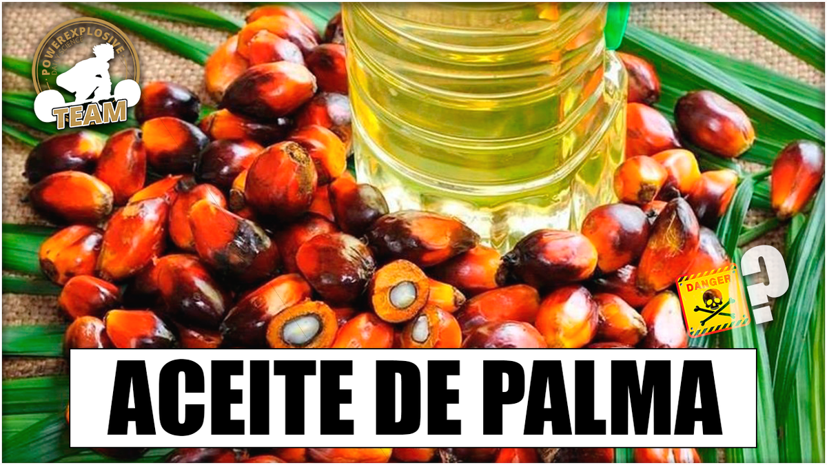 Por que es malo el aceite de palma