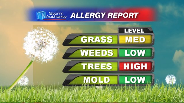 JasonMikellTV's tweet image. Scratchy? Sneezy? Weezy? Lima&apos;s current ALLERY READINGS. #springinfullswing