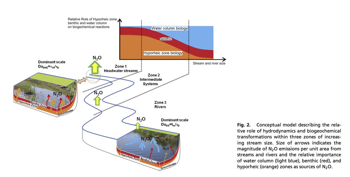 Role of surface and subsurface processes in scaling N2O emissions along riverine networks pnas.org/cgi/content/lo… @marthamdee <a href="/jenniferltank/">jennifer tank</a>