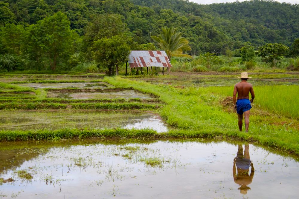 TravelAccessPro's tweet photo. #CountryResource, #Thailand. Read books, watch movies, decide on a travel project before you go, with our resource! https://t.co/50u1UMjvam https://t.co/F1GxT5XTm3