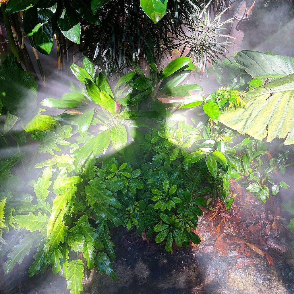 FLYGUY's tweet photo. Deep in the jungle on Skull Island.
#kong #skullisland #universalstudios #googlepixel #pixelonly #googleplus #FLYG… https://t.co/Q3sF2fmKMe https://t.co/pEymt8OcHO