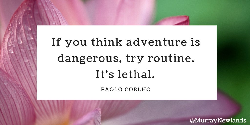 MurrayNewlands's tweet photo. If you think adventure is dangerous, try routine. It's lethal. -- Pablo Coelho

#TuesdayMotivation
#Adventure https://t.co/uF3JAx6KkG