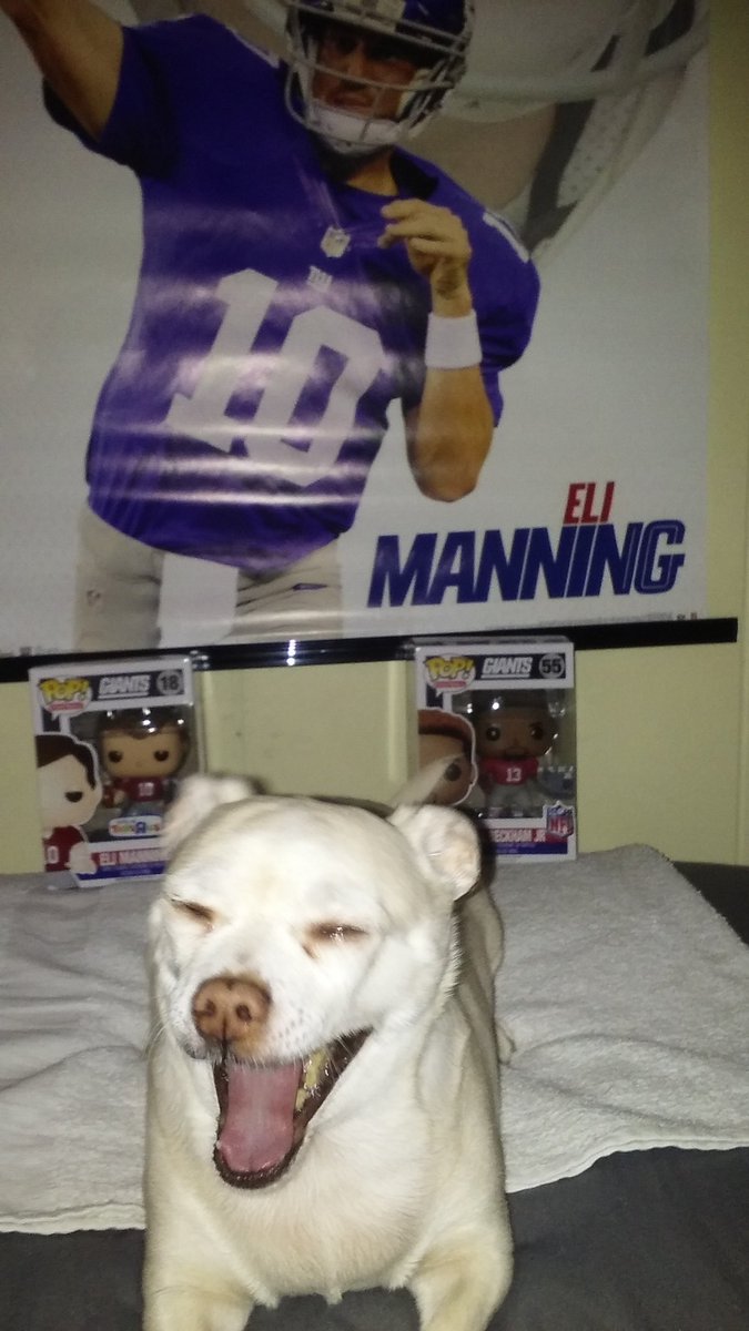 DynastyDog01's tweet photo. My pup with 2 of her favorite players @Giants @OBJ_3 @OriginalFunko #EliManning #NFLPets #NYGiantsPets #nationalpetday https://t.co/9D3kJNVwO5