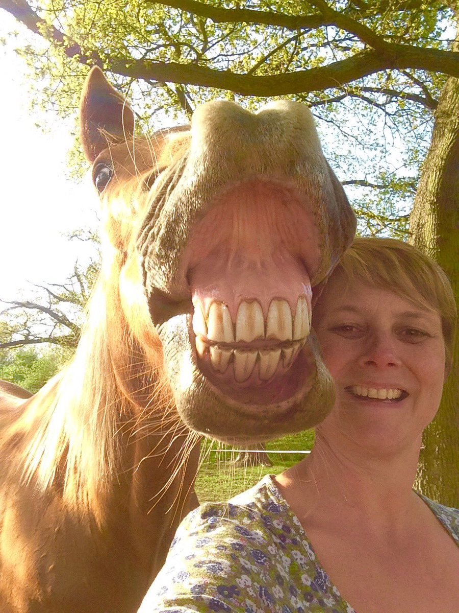 DonnaMeaden's tweet photo. Smile Ruby 🐴😂 https://t.co/jkp8qj2SRK