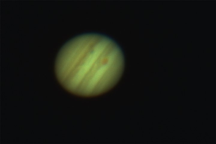 wayne williamson. tweet media