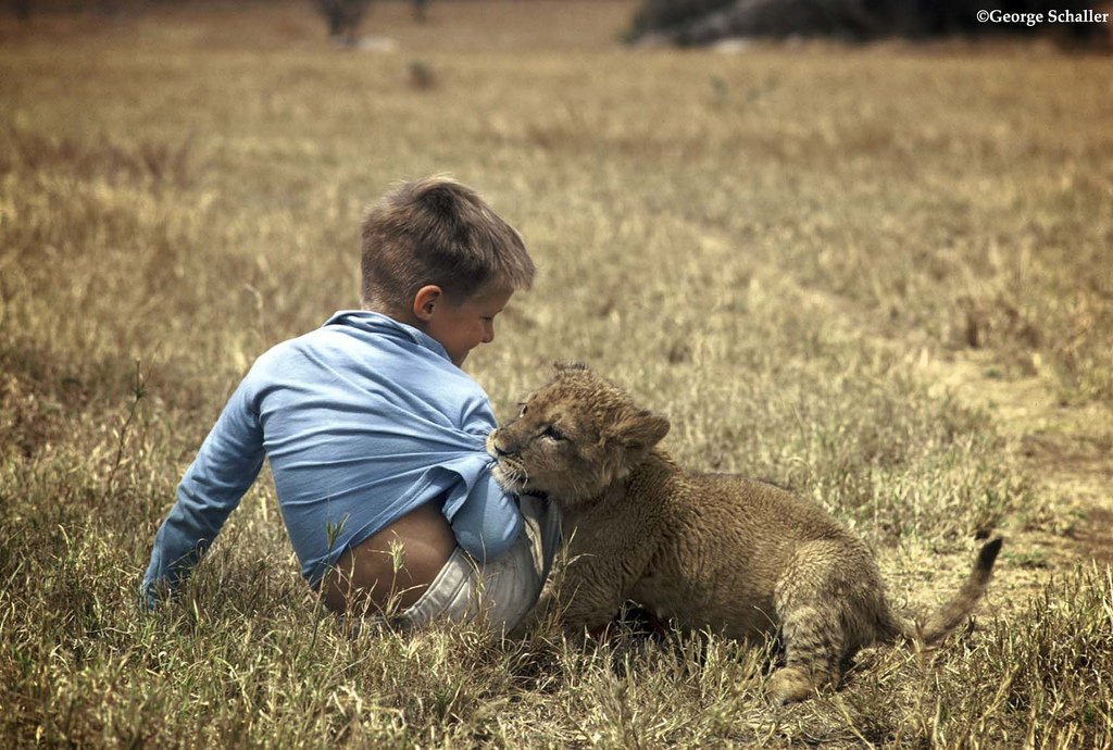 LordNishar's tweet image. #SpinUrEmbarrassingMoments I didn&apos;t poop my pants out of fear when that vicious lion was chasing me. I was sick.