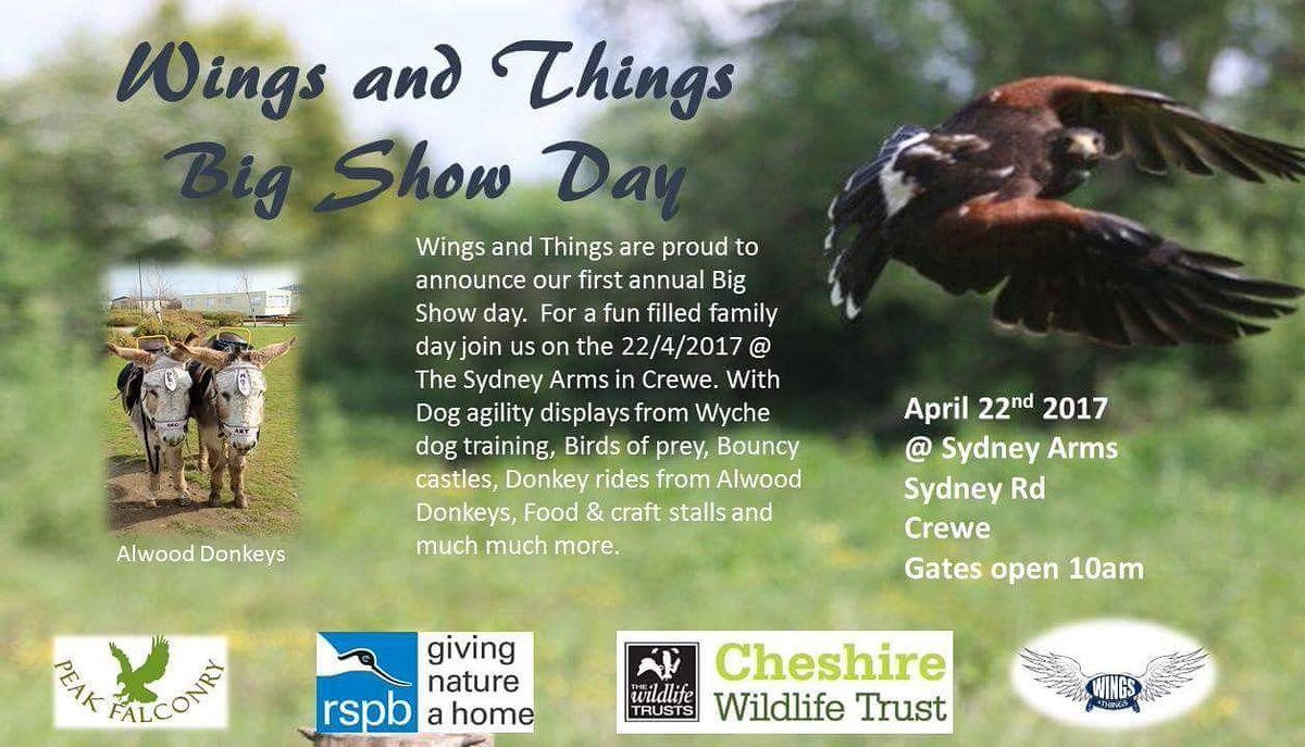 Wings and Things (WingsandThing10) Twitter